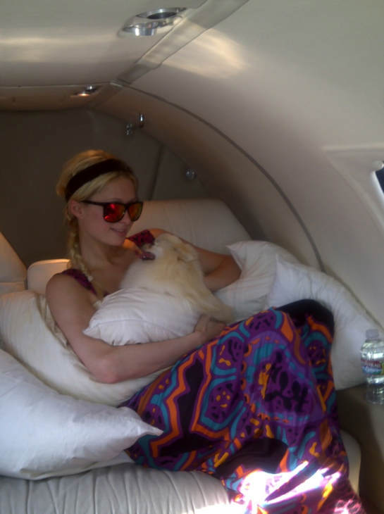 Paris Hilton has a Pomeranian dog named Marilyn...